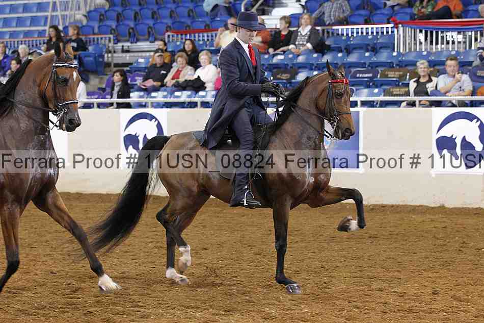 Proof 11usn_08824