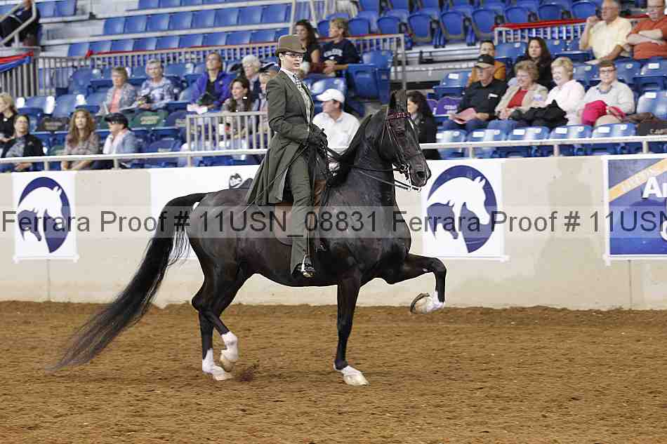 Proof 11usn_08831