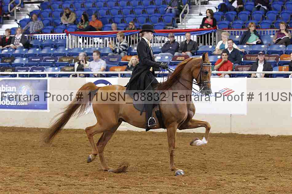 Proof 11usn_08832