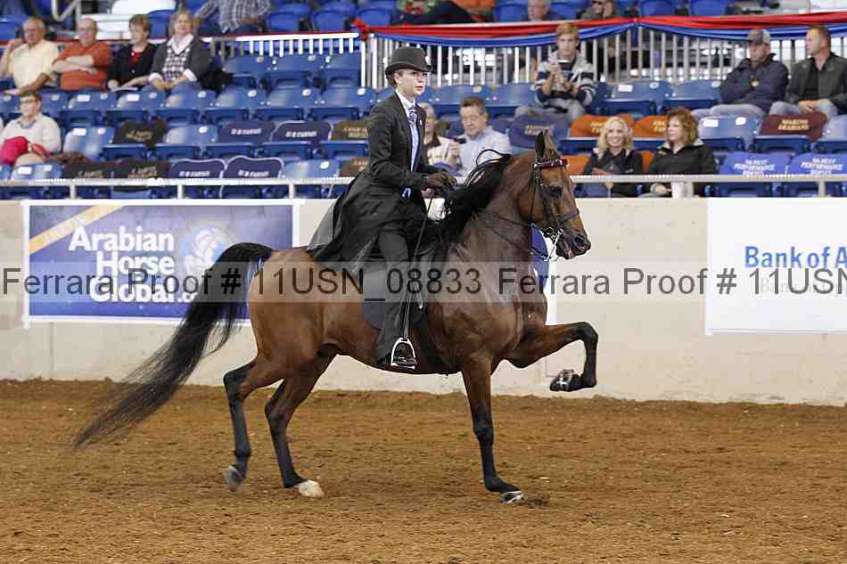 Proof 11usn_08833