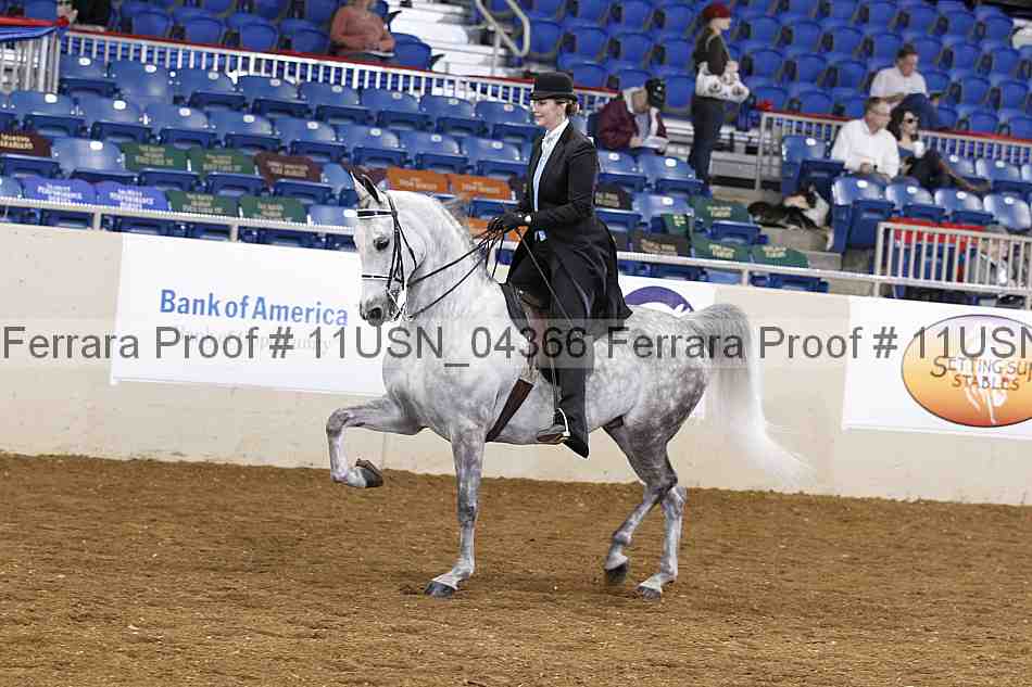 Proof 11usn_04366