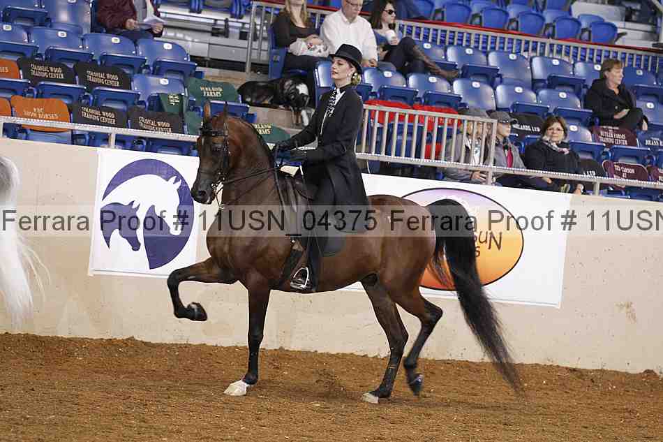 Proof 11usn_04375