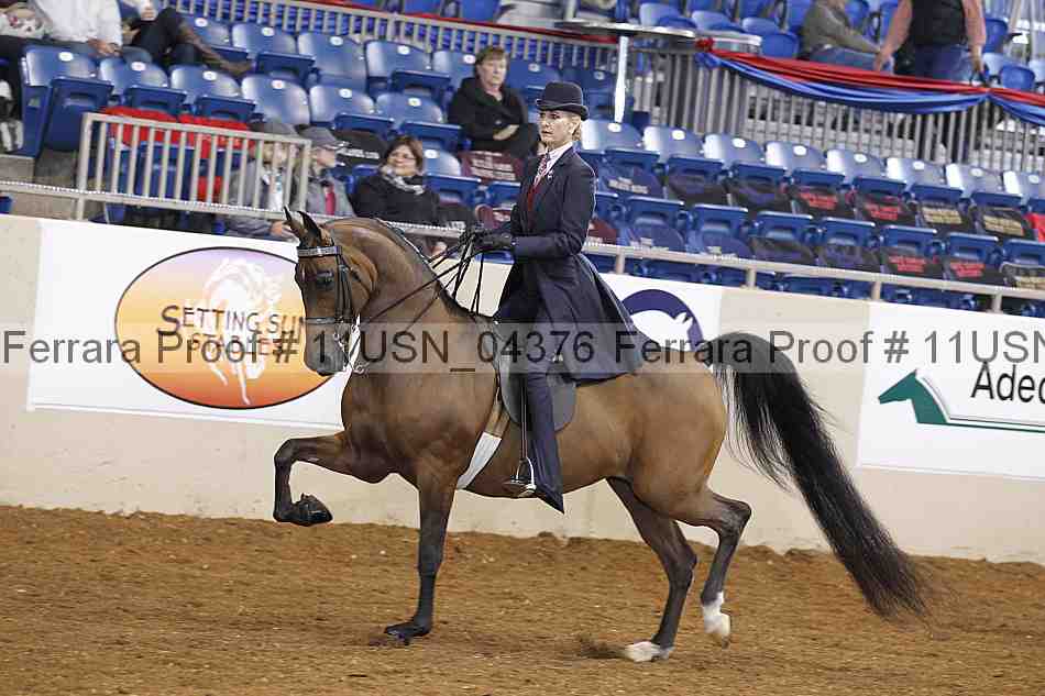 Proof 11usn_04376