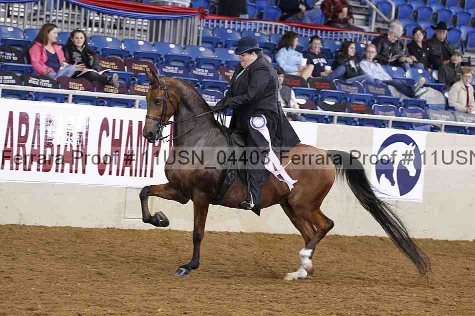 Proof 11usn_04403