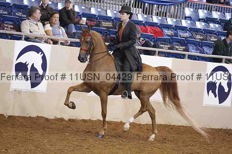 Proof 11usn_04429