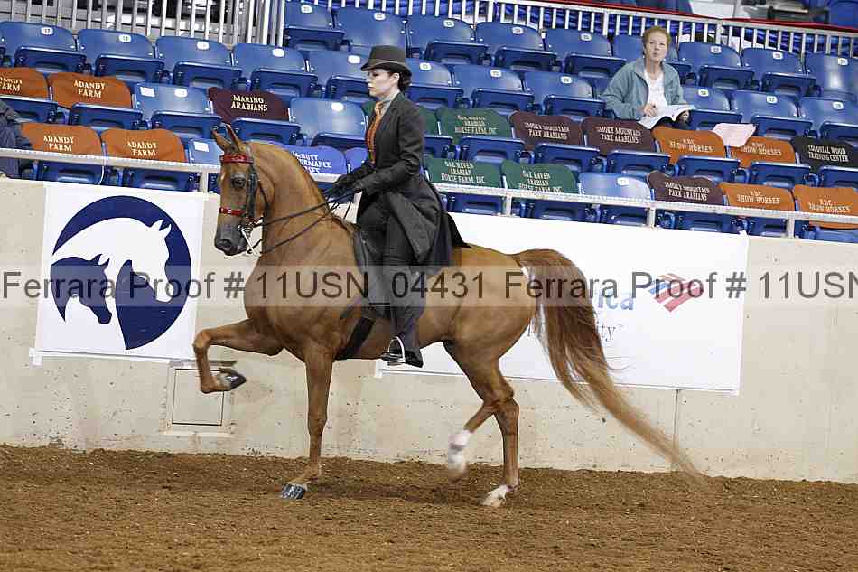 Proof 11usn_04431