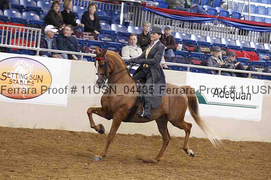 Proof 11usn_04435