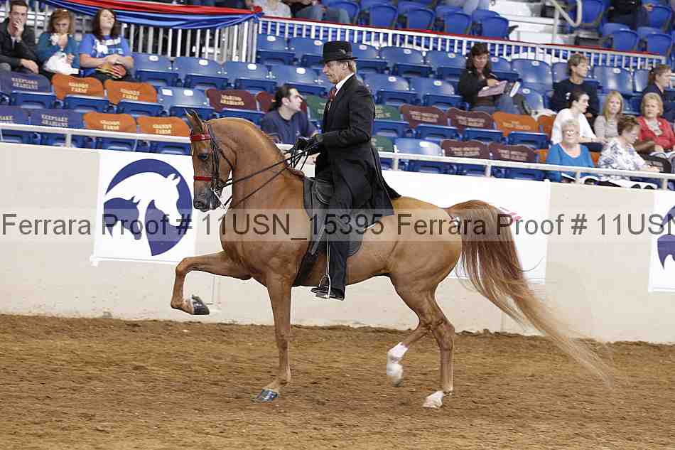 Proof 11usn_15395