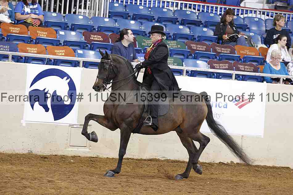 Proof 11usn_15399
