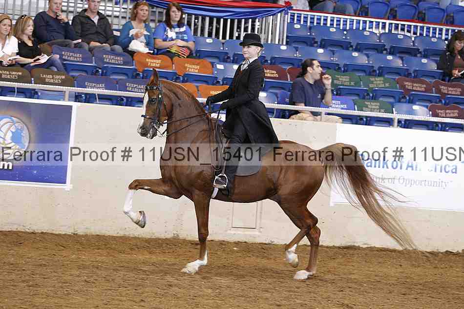 Proof 11usn_15401