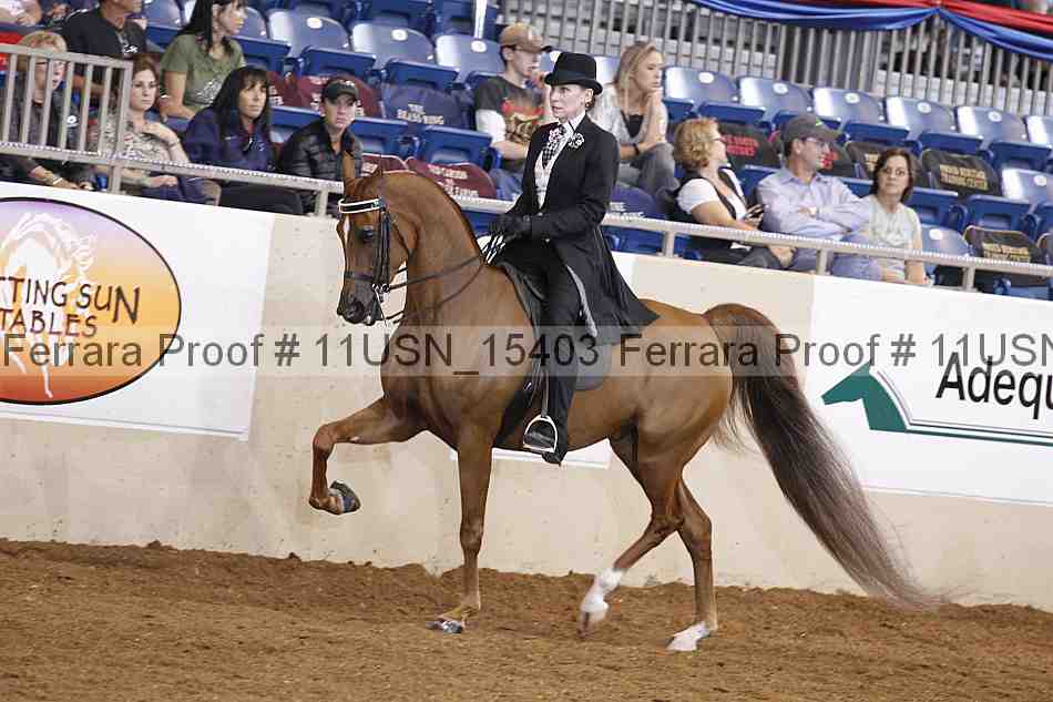 Proof 11usn_15403