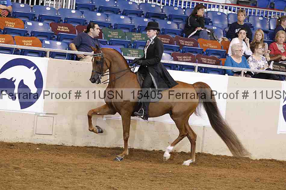 Proof 11usn_15405
