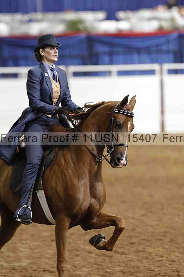 Proof 11usn_15407