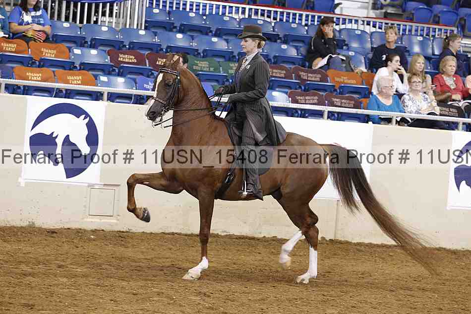 Proof 11usn_15408