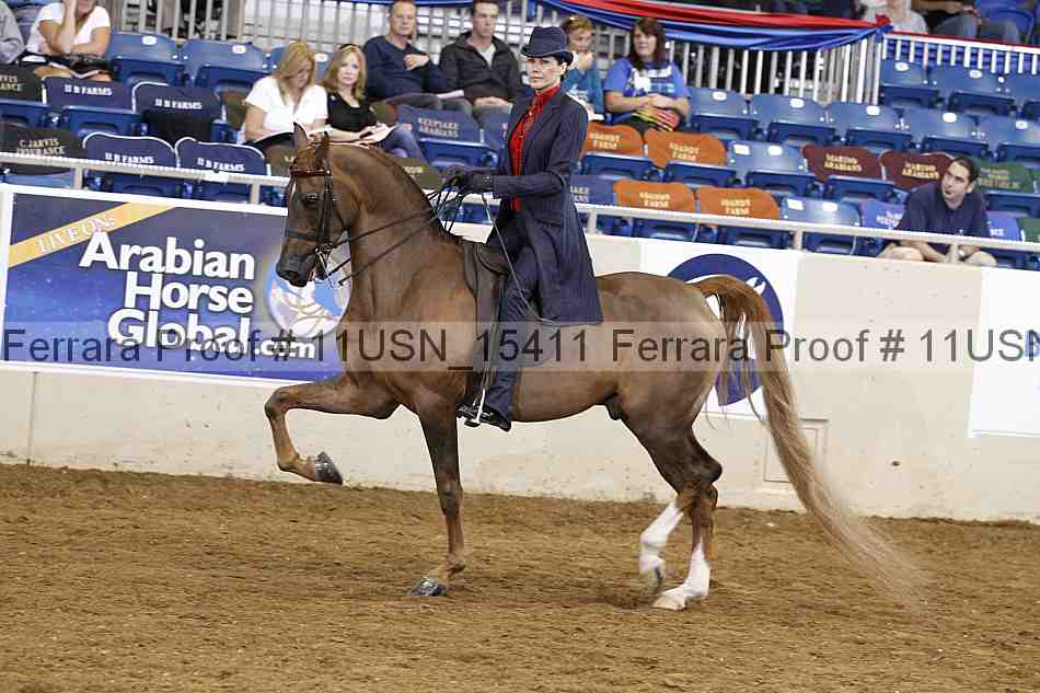 Proof 11usn_15411
