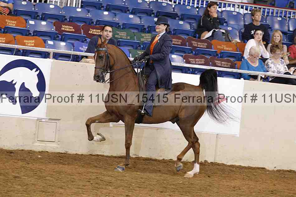 Proof 11usn_15415