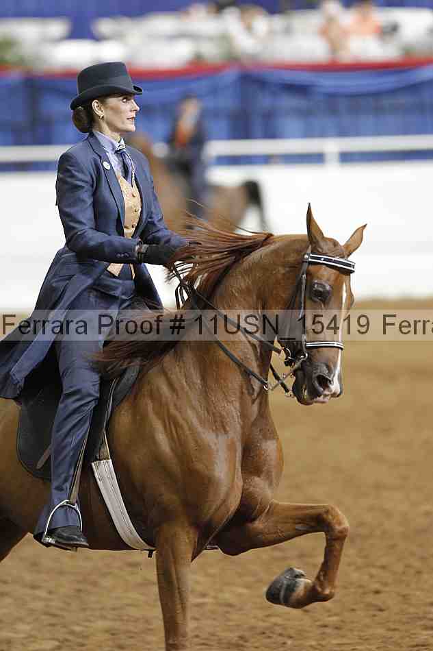 Proof 11usn_15419