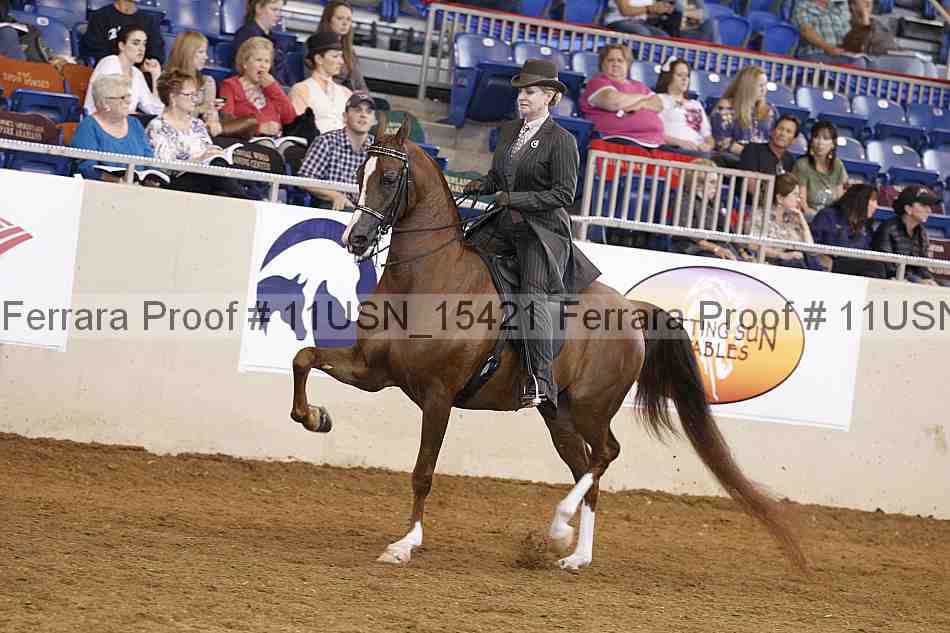 Proof 11usn_15421