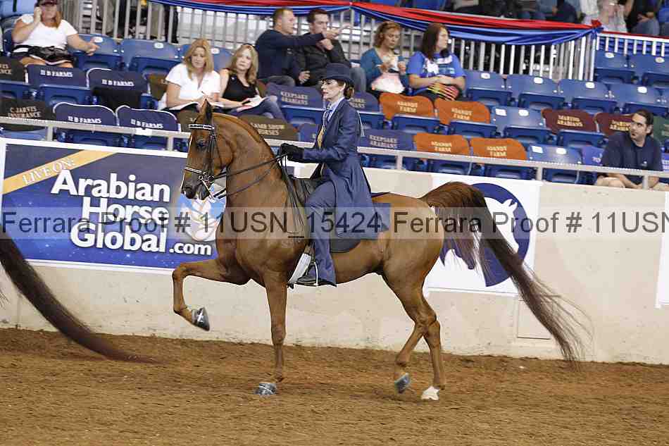 Proof 11usn_15424