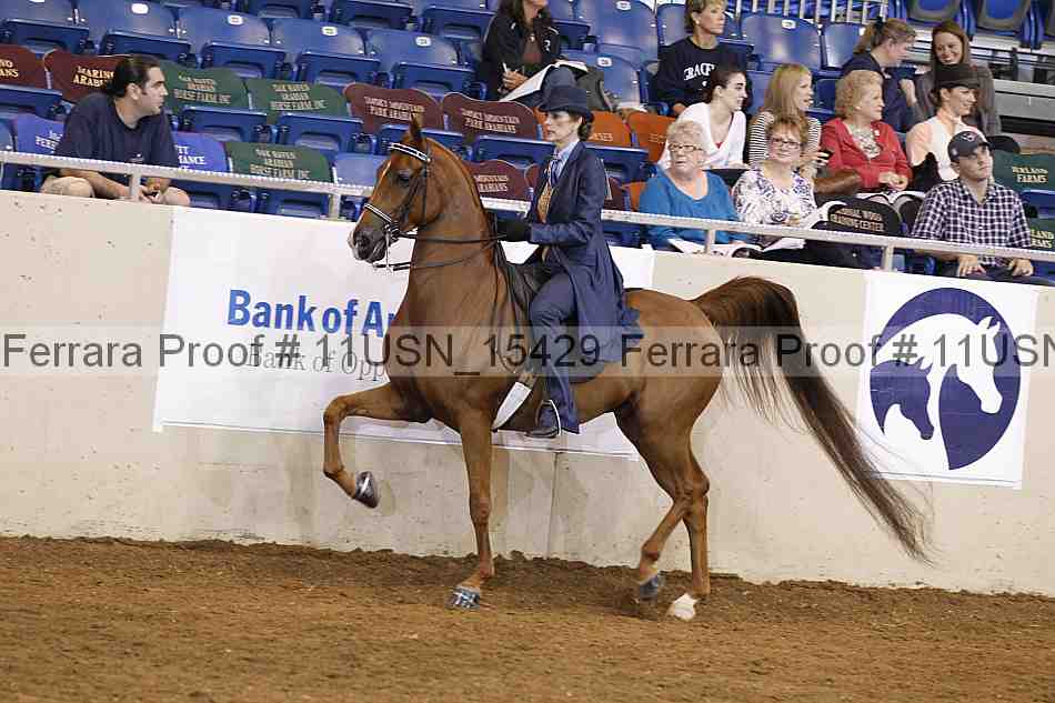 Proof 11usn_15429