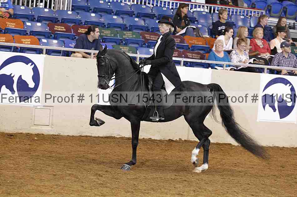 Proof 11usn_15431