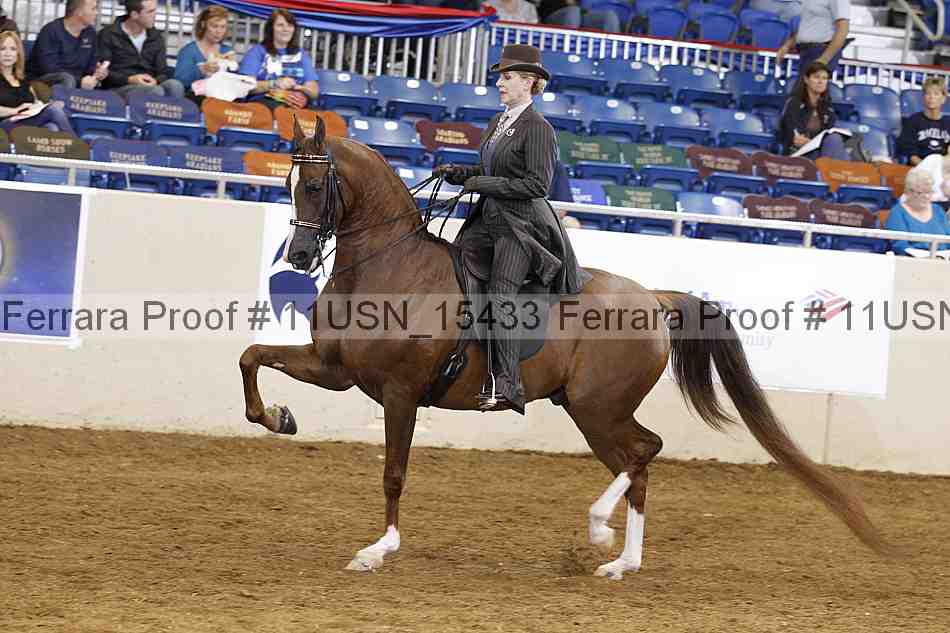 Proof 11usn_15433