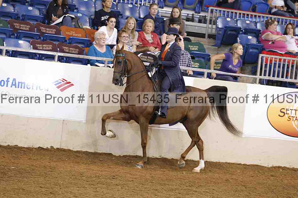 Proof 11usn_15435