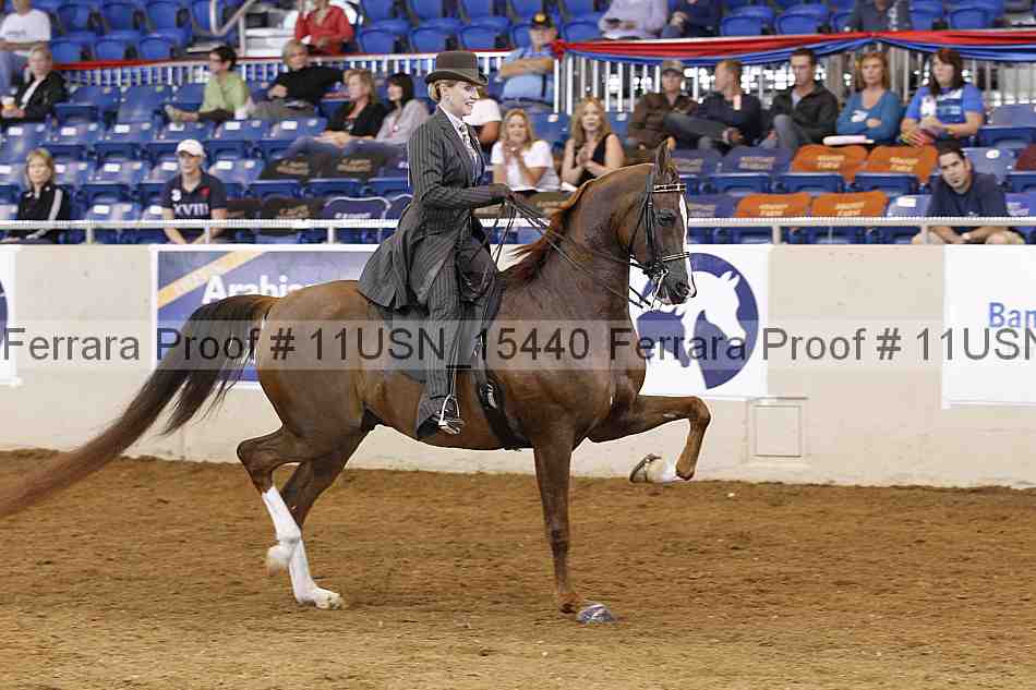 Proof 11usn_15440