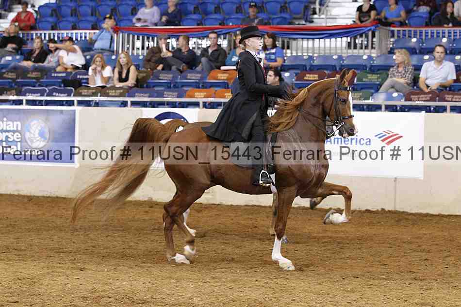 Proof 11usn_15443
