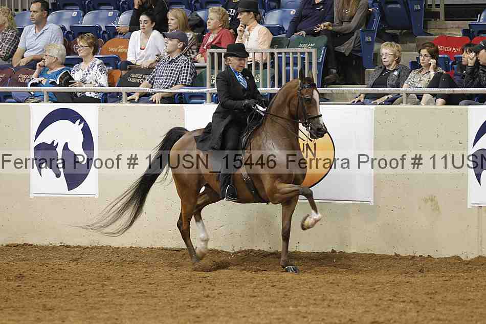 Proof 11usn_15446