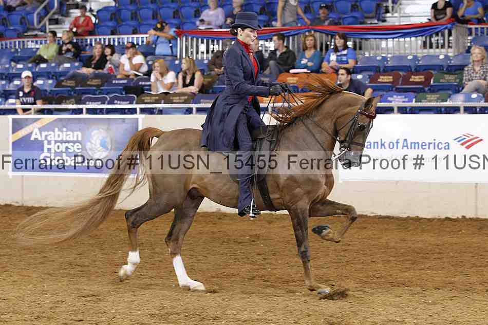 Proof 11usn_15455