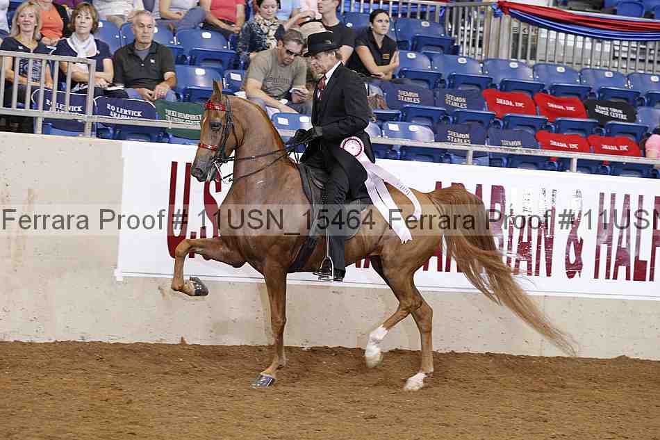 Proof 11usn_15464