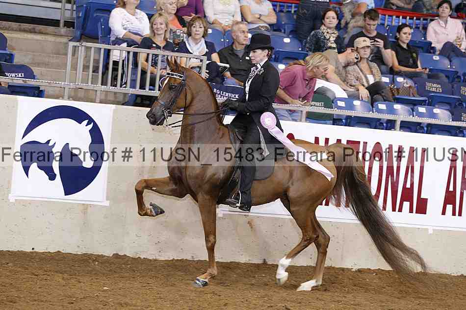 Proof 11usn_15483