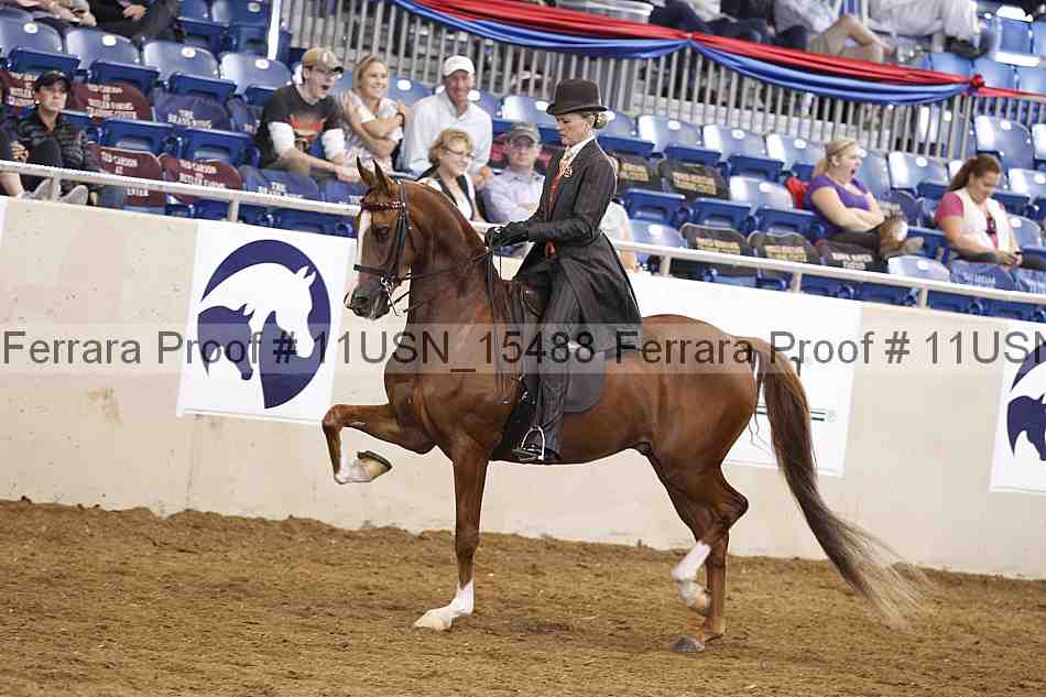 Proof 11usn_15488