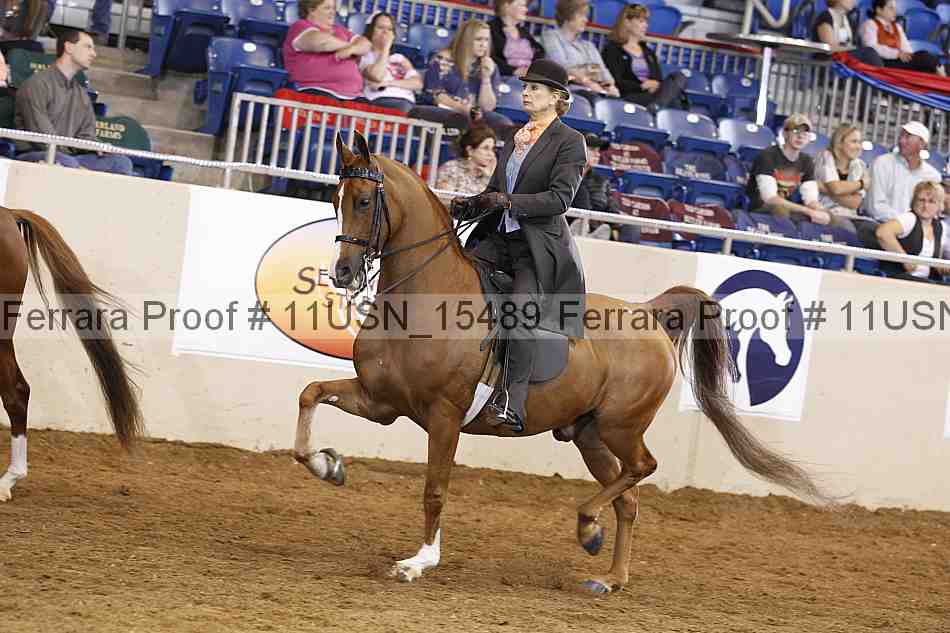 Proof 11usn_15489