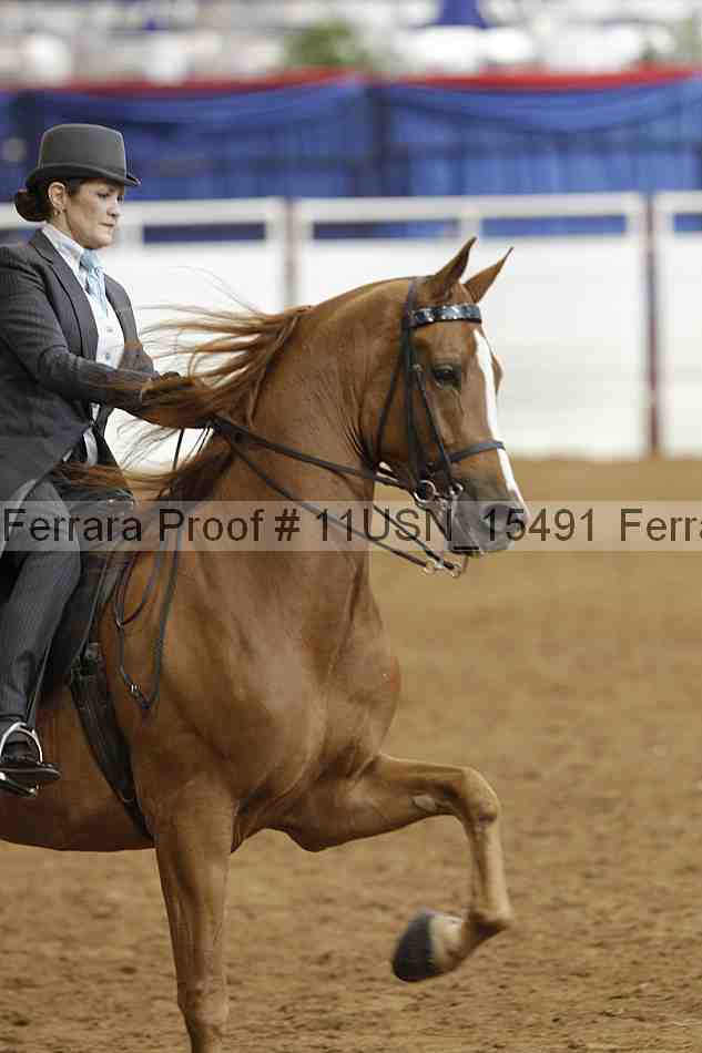 Proof 11usn_15491