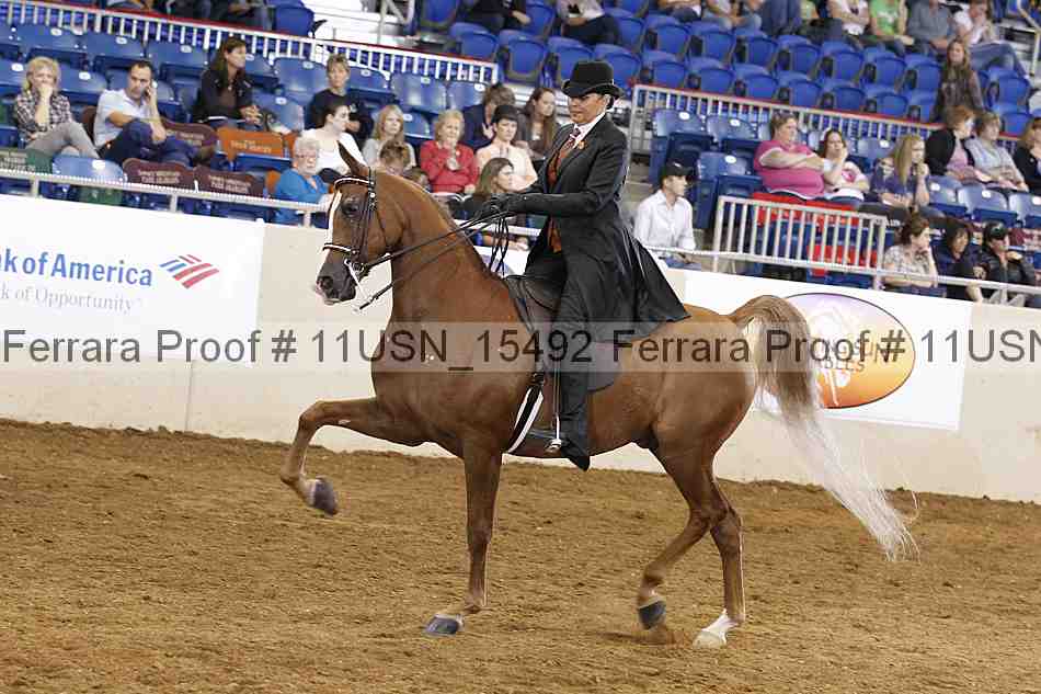 Proof 11usn_15492