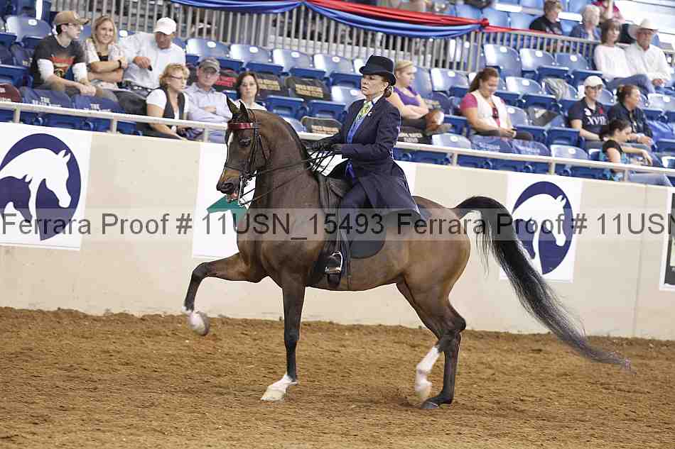 Proof 11usn_15493