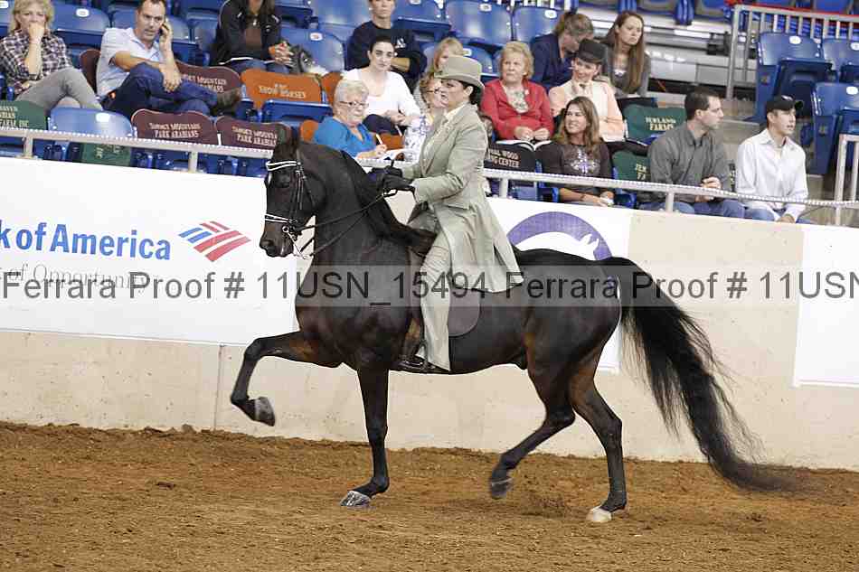 Proof 11usn_15494