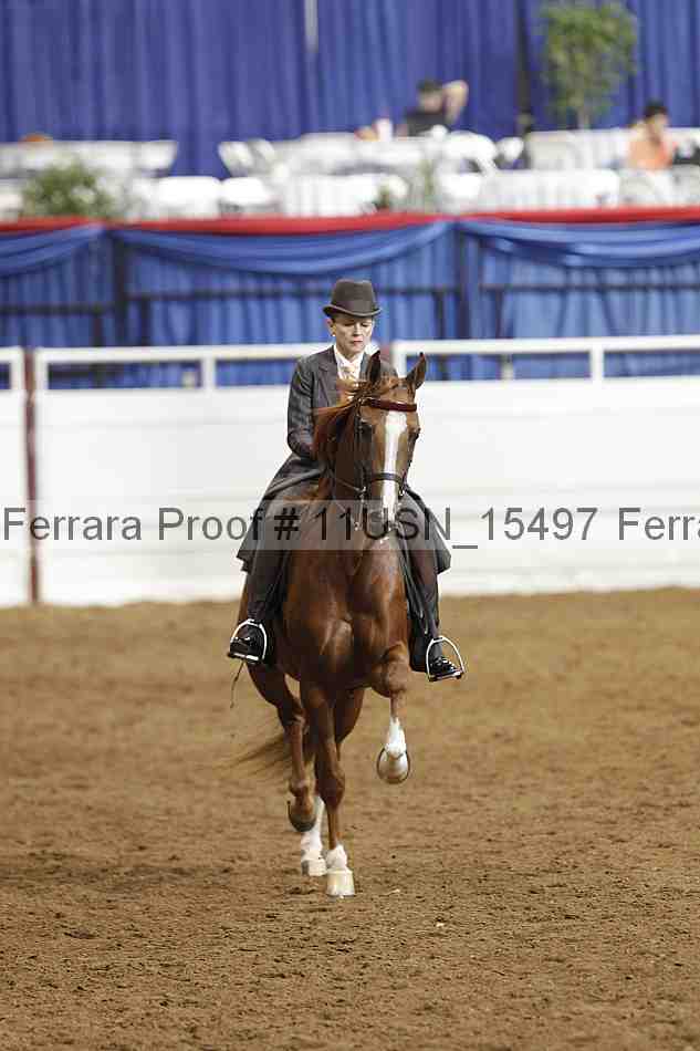 Proof 11usn_15497