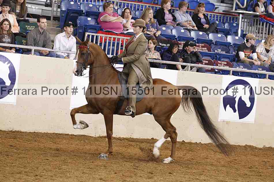 Proof 11usn_15501