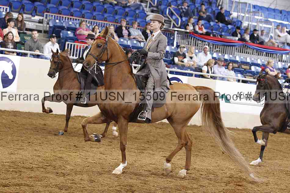 Proof 11usn_15509