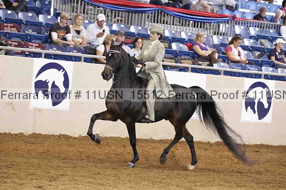 Proof 11usn_15512