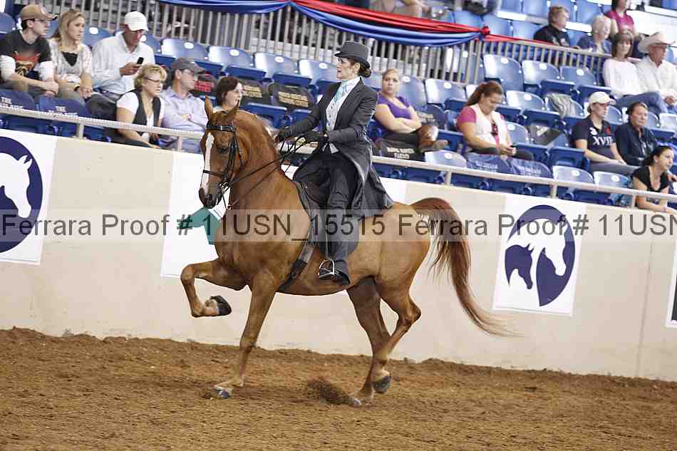 Proof 11usn_15515