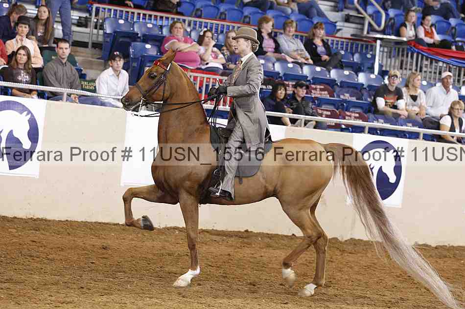 Proof 11usn_15516