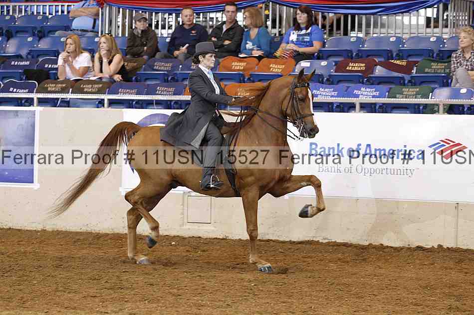 Proof 11usn_15527