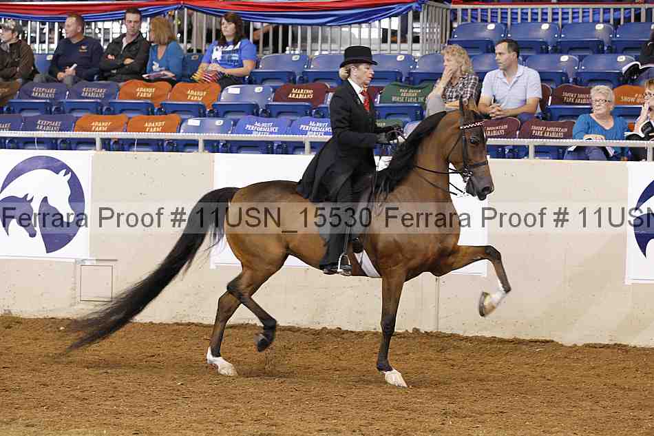 Proof 11usn_15530