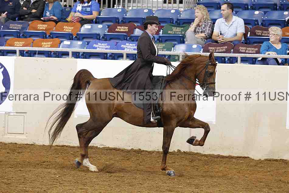 Proof 11usn_15531