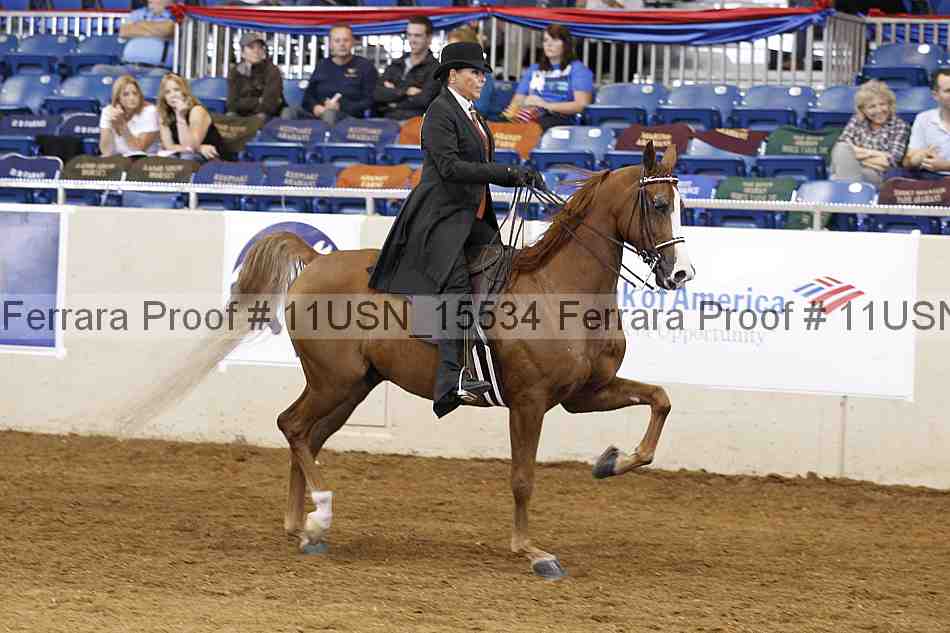 Proof 11usn_15534