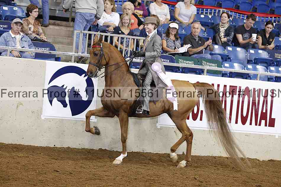 Proof 11usn_15561